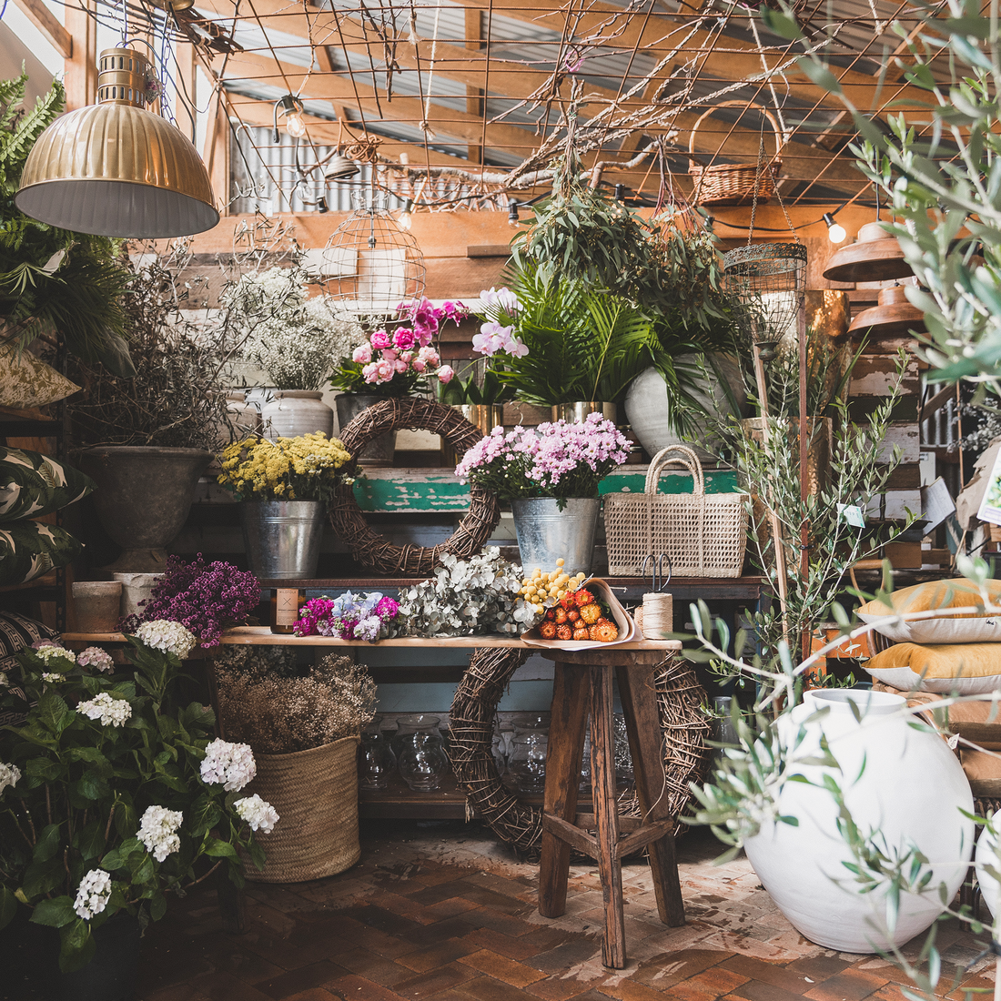 BLOOMY DAYS WITH FLOWERS AT THE FARM