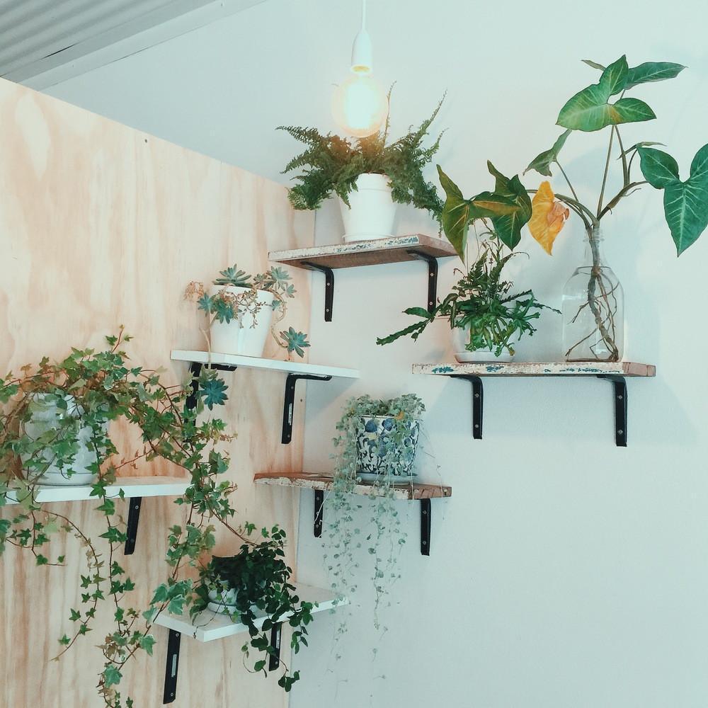 The Auguste HQ Has Gone Eco!